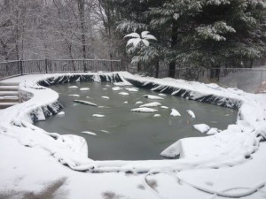 snow on pool